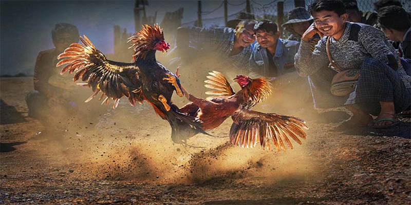 kuwin7 chơi bắn cá đổi thưởng