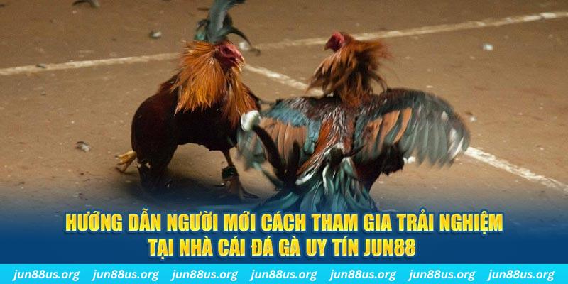 kuwin7 CQ9 Điện Tử