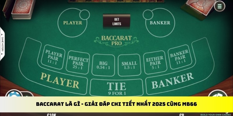 kuwin7 gà chọi cu cần