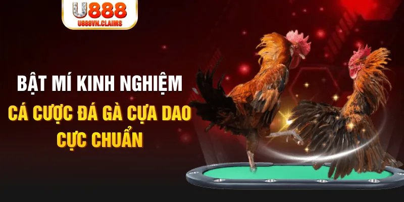 kuwin7 tỷ lệ cá cược châu á là gì