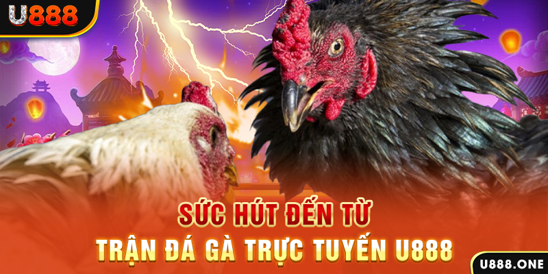 kuwin7 nổ hũ b29 là gì
