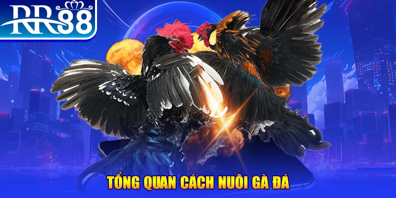 kuwin7 VA Điện Tử