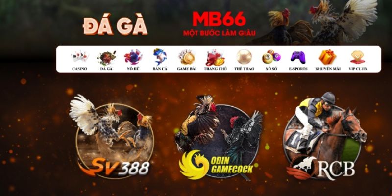 kuwin7 đăng nhập poker số 1