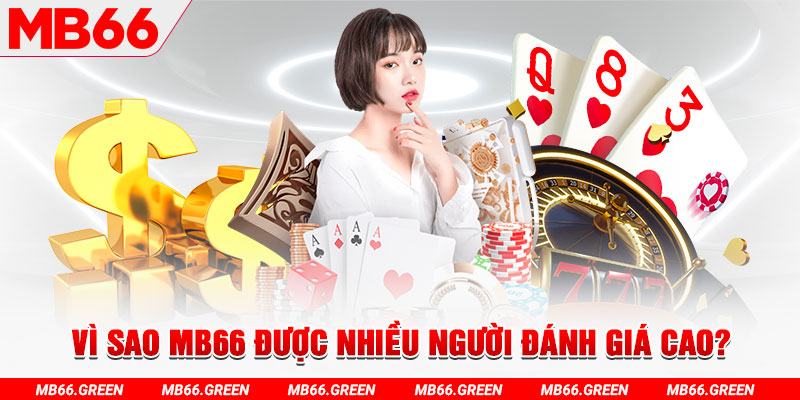 kuwin7 đá gà