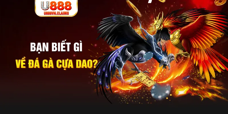 kuwin7 nổ hủ là gì