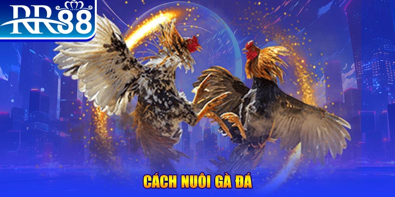 kuwin7 xổ số an giang