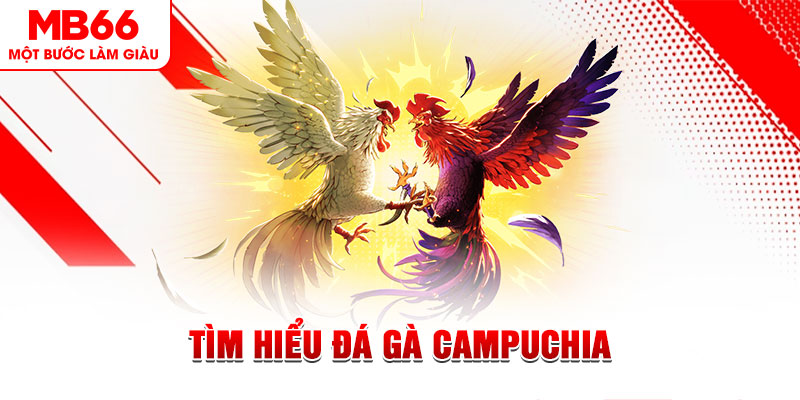 kuwin7 game đánh bài trên máy tính