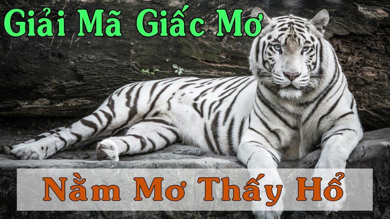kuwin7 WM Trực Tuyến