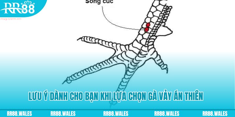 kuwin7 xổ số đồng nai