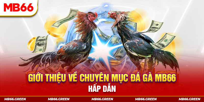 kuwin7 đăng nhập sòng bạc đổi thưởng