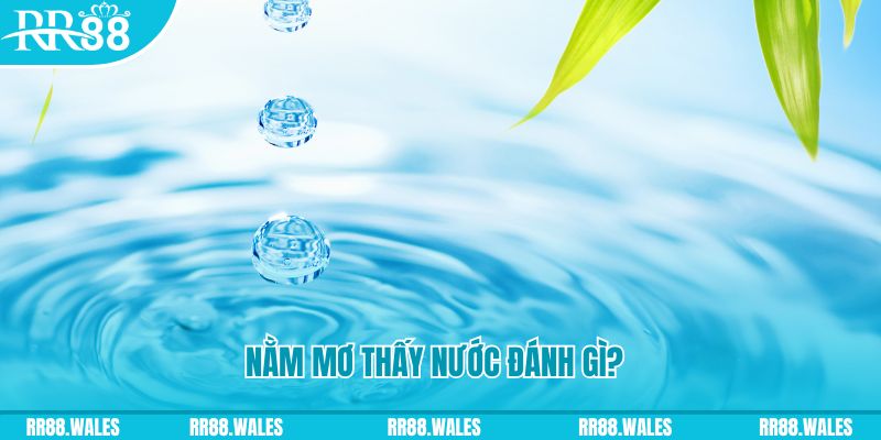 kuwin7 TP Bắn cá
