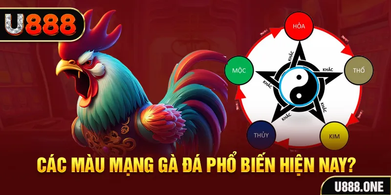 kuwin7 trực tiếp đá gà 88