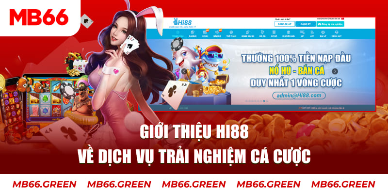 kuwin7 ga choi hoa phong