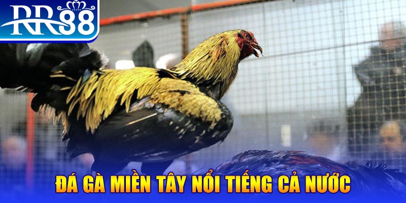 kuwin7 JILI Game Bài 3d