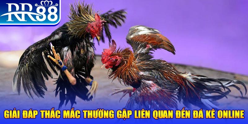 kuwin7 xổ số đà lạt