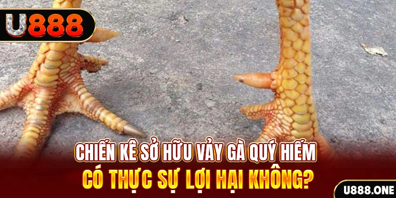 kuwin7 nohu .mx nổ hủ là gì