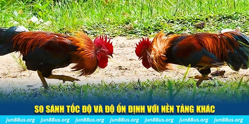 kuwin7 đá gà hôm nay