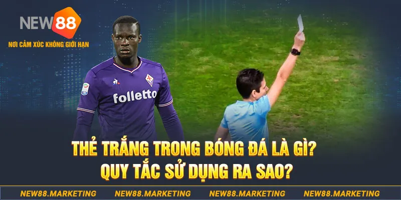 kuwin7 gà chọi mộc hóa