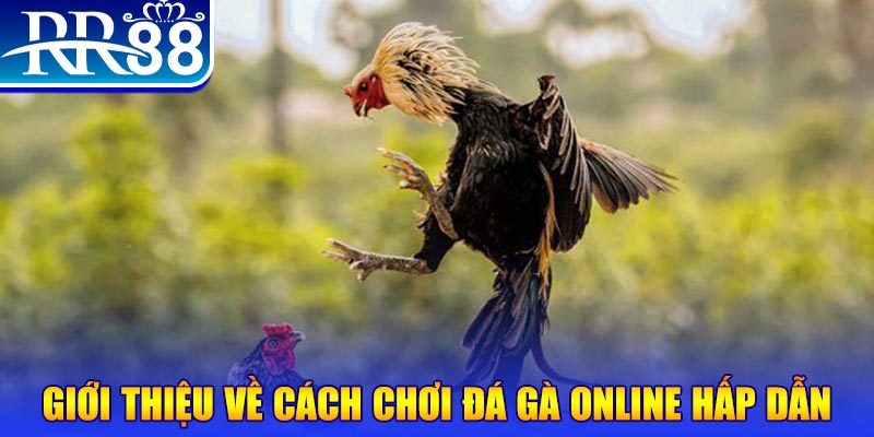 kuwin7 game nổ hũ rút tiền mặt là gì