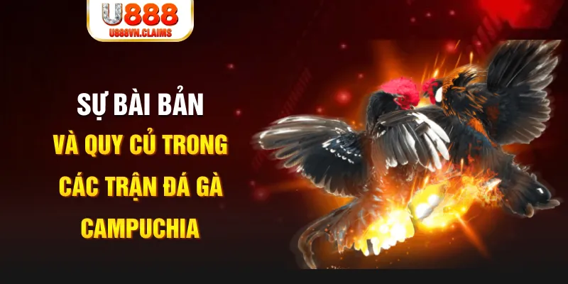 kuwin7 YGR Điện Tử
