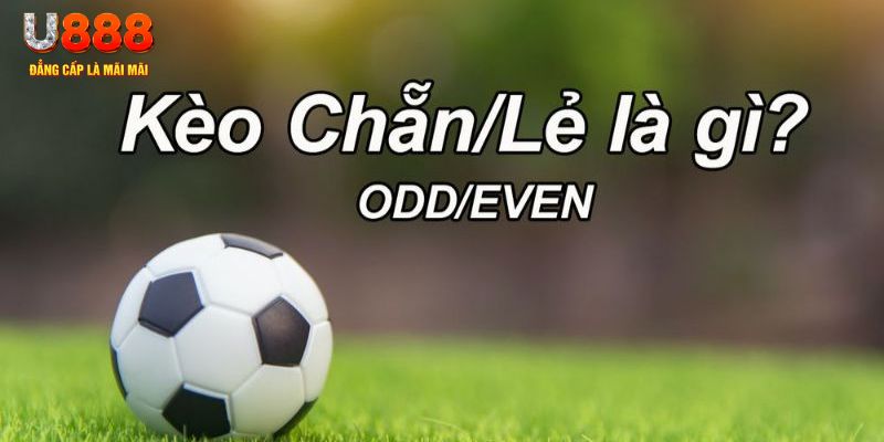 kuwin7 đăng nhập poker hôm nay