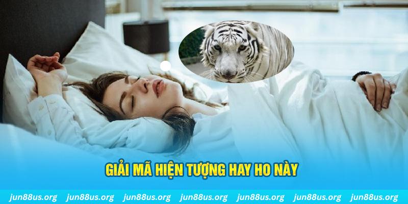 kuwin7 đăng nhập nổ hũ uy tín