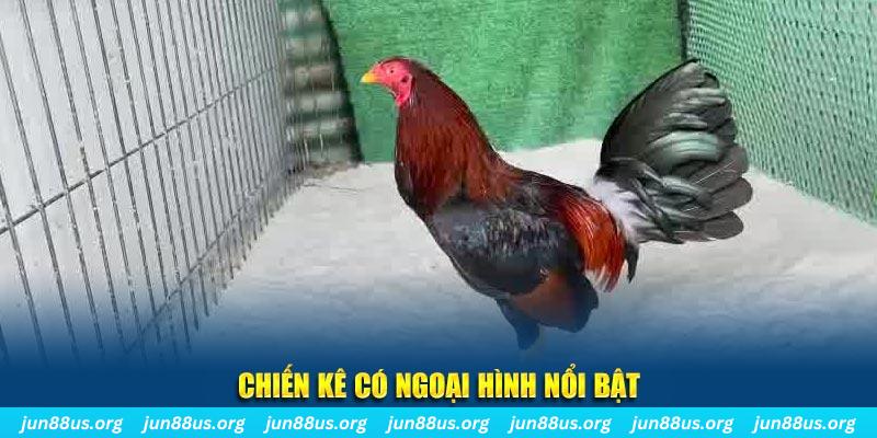 kuwin7 chạy quảng cáo cho game bài bị phạt như thế nào