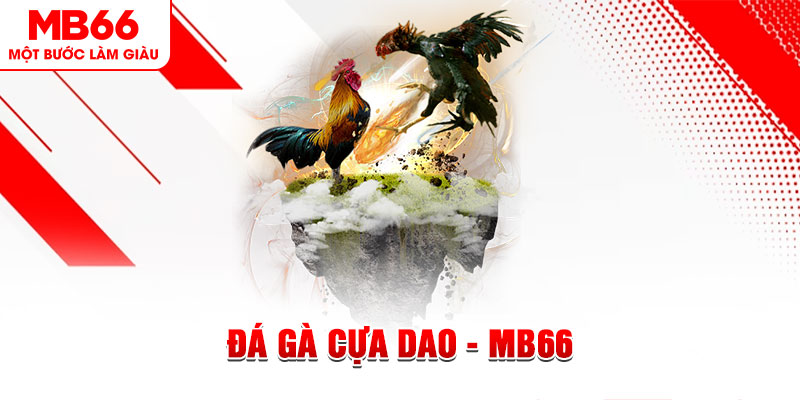 kuwin7 đá gà sv388 gold