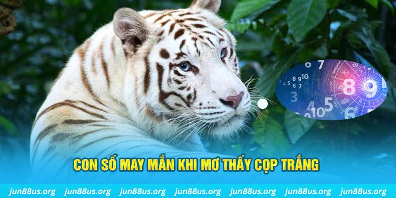 kuwin7 đá gà trực tiếp 88